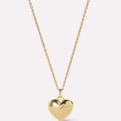 پلاک قلب بادکنکی